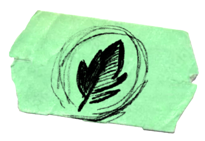 Natural & Organic Ingredients