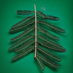 BALSAM FIR