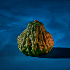 BERGAMOT