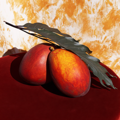 MANGO